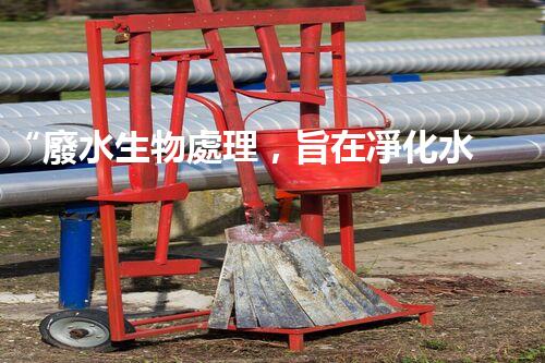 “廢水生物處理，旨在凈化水源，守護(hù)碧水藍(lán)天”